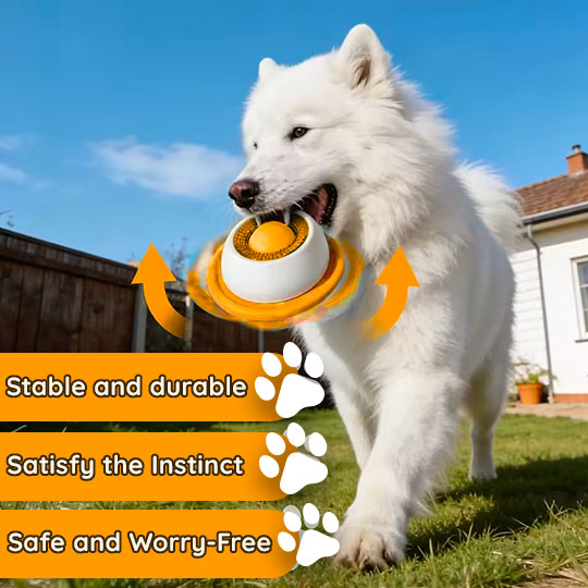 My kindpaw 🍪 🐾